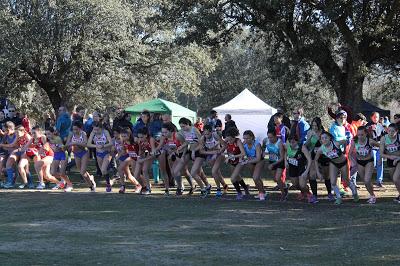 XXXII CAMPEONATO DE  MADRID DE  MENORES Y VETERANOS CAMPO A TRAVÉS- CRITERIUM JUVENIL