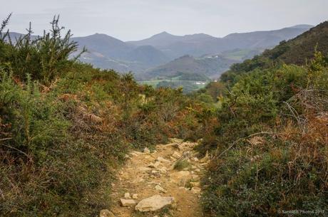Señales en el camino