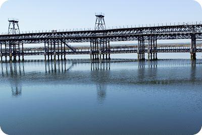 Albóndigas de Ternera en Salsa a la Pimienta Verde