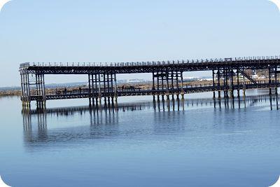 Albóndigas de Ternera en Salsa a la Pimienta Verde