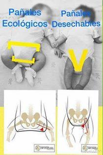 La cadera del bebé y el uso de pañales de tela.