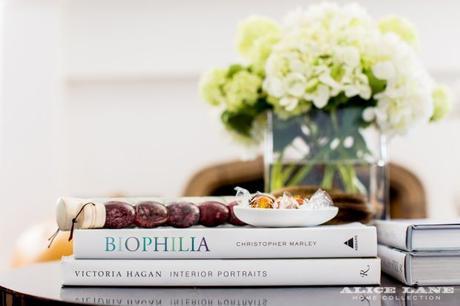 fotografia de detalles