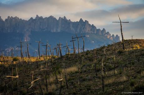 Saludad al sol de poniente