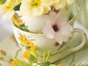 Primrose Yellow
