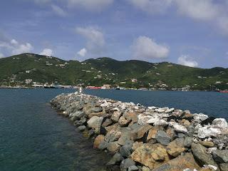 Tórtola hermosa isla rodeada de dominicanos por todas partes