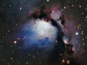 ✨M78 Orión Terry Hancoock