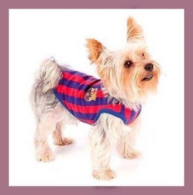 camisetas para perros de futbol