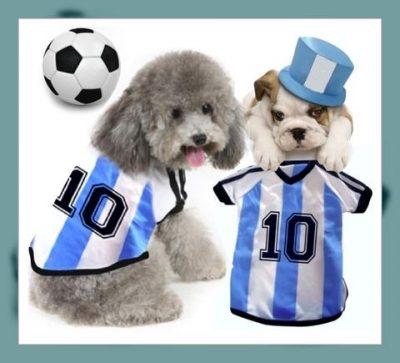 camisetas para perros personalizadas