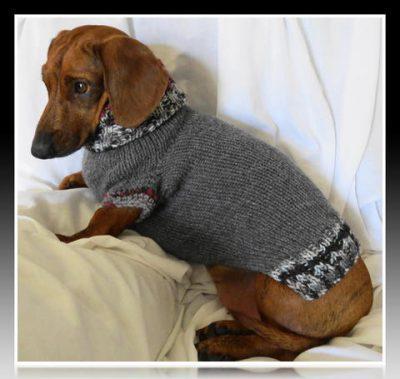 ropa para perro salchicha mini