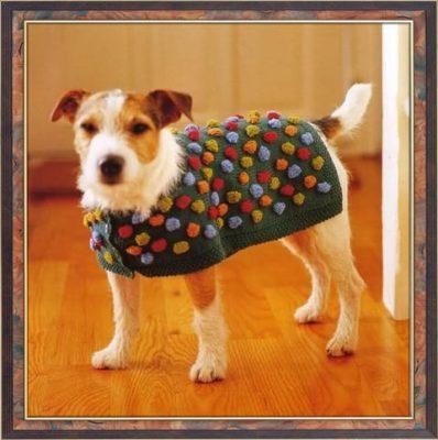 moldes para ropa de perritos pequeños