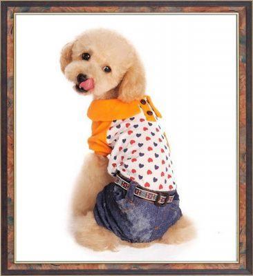 modelos de ropa para perros pequeños