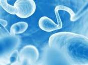 enemigos fertilidad masculina