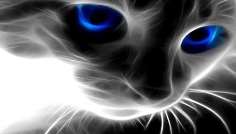 valora y ama a tu mascota