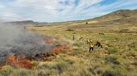 Un incendio de enormes dimensiones azota los campos de Junín