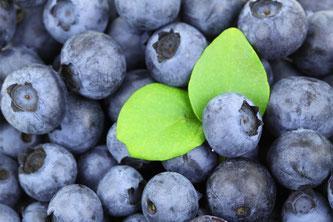 El poder antioxidante de las frutas