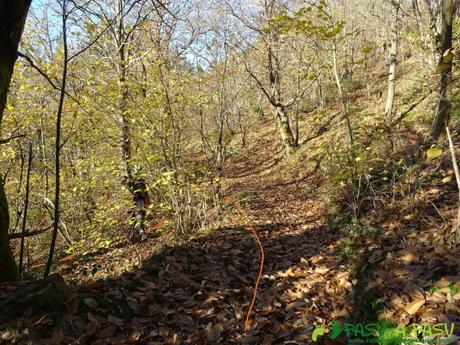 Dolmen de Merillés: Bosque bajando a Tuña desde La Faxa