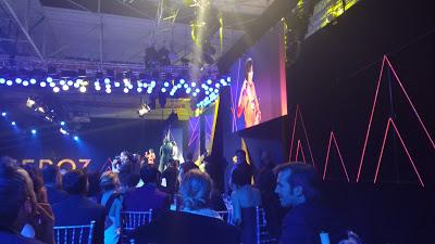 Galería fotográfica Premios Feroz 2017