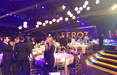 Galería fotográfica Premios Feroz 2017