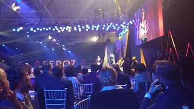 Galería fotográfica Premios Feroz 2017