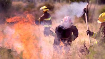 Neuquén tuvo más de 200 incendios en 20 días