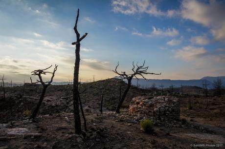 Extinguiéndose el día