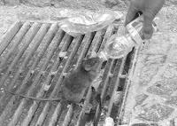 Dicho de otra manera, para que no me entiendas...