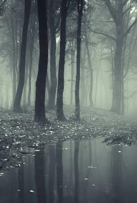 Reseña ~ El factor RH ~ Mikel Murillo