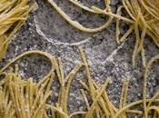 Hacer pasta casera. todo necesitas