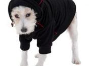 Capas para perros pequeños facil usar