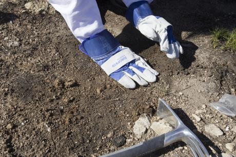 Eurofred desarrolla una política medioambiental para compensar el 100 % de sus emisiones de CO2 a la atmósfera Eurofred desarrolla una política medioambiental