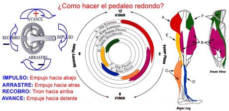 ¿Entrenamiento de cadencia?