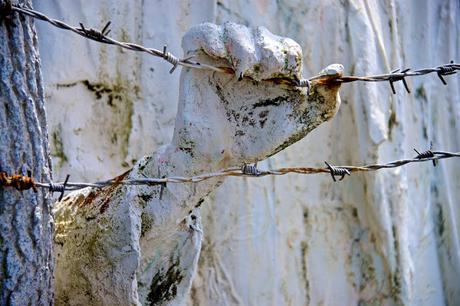 La guerra perjudica siempre a los buenos [Reflexión]