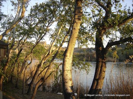Toledo, ciudad rica y de mucho trato