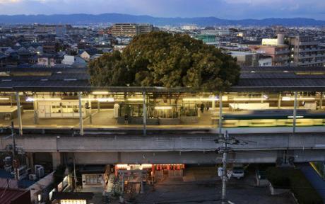 Una estación de tren japonesa construida alrededor de un árbol de 700 años de antigüedad