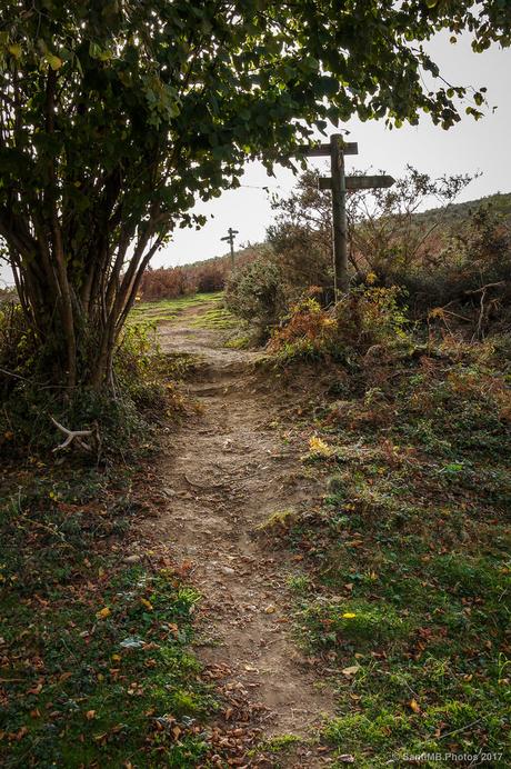 Ni para un sitio ni para el otro