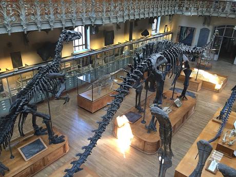 Lamarck, el médico de la evolución