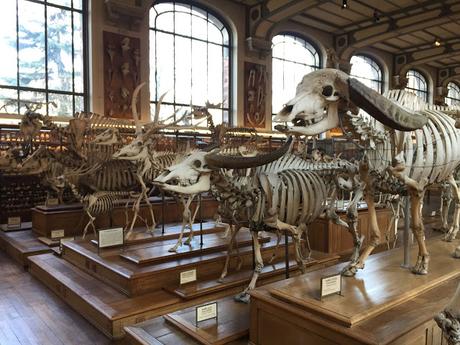 Lamarck, el médico de la evolución