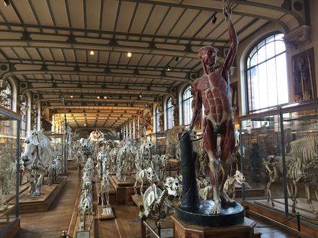 Lamarck, el médico de la evolución