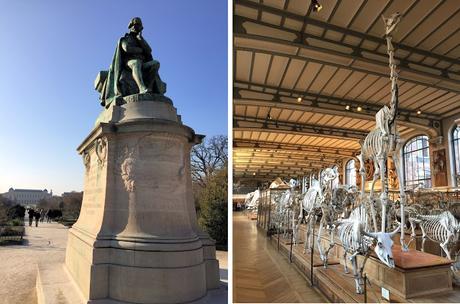 Lamarck, el médico de la evolución