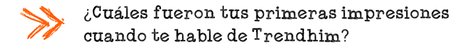 TRENDHIM O COMO ENAMORARTE A PRIMERA VISTA