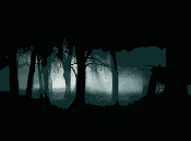 Bosques