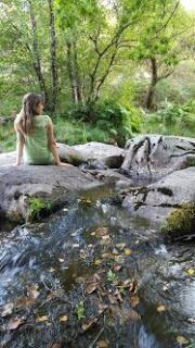 denuncia pública sobre el CAMPO DE TIRO DE LARACHA CORUÑA en el lugar de una FRAGA (BOSQUE NATURAL) VILAR DE FRAGA