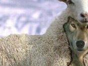 mentiras sobre aplazamientos