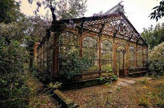 Reseña academia: libro segundo