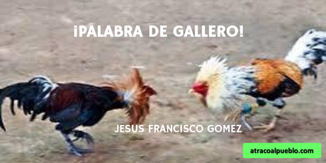 ¡PALABRA DE GALLERO!