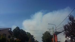 No pueden controlar el incendio de campos en Junín de los Andes