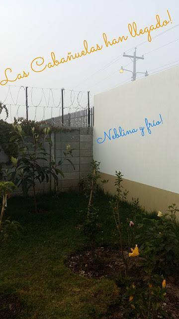 CABAÑUELAS - ENERO 1