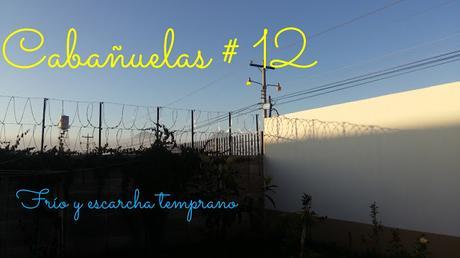 CABAÑUELAS ENERO 12