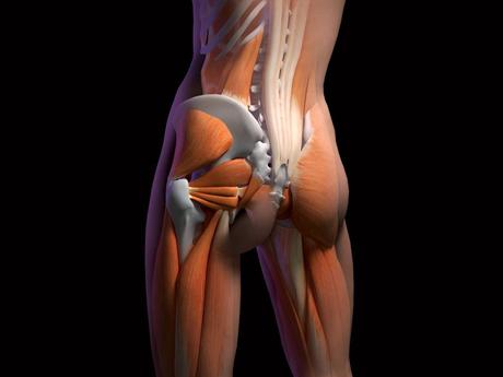 ¿Cómo prevenir lesiones en los músculos isquiotibiales? VIDEO