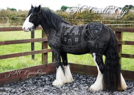 Artista crea asombrosos cortes de pelo artísticos gratuitos para caballos